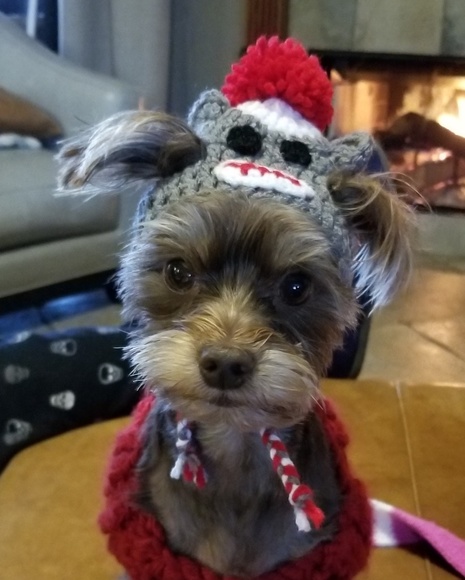 Hi itโs Gisella a wannabe reformed hoarder - Picture 3 of 8